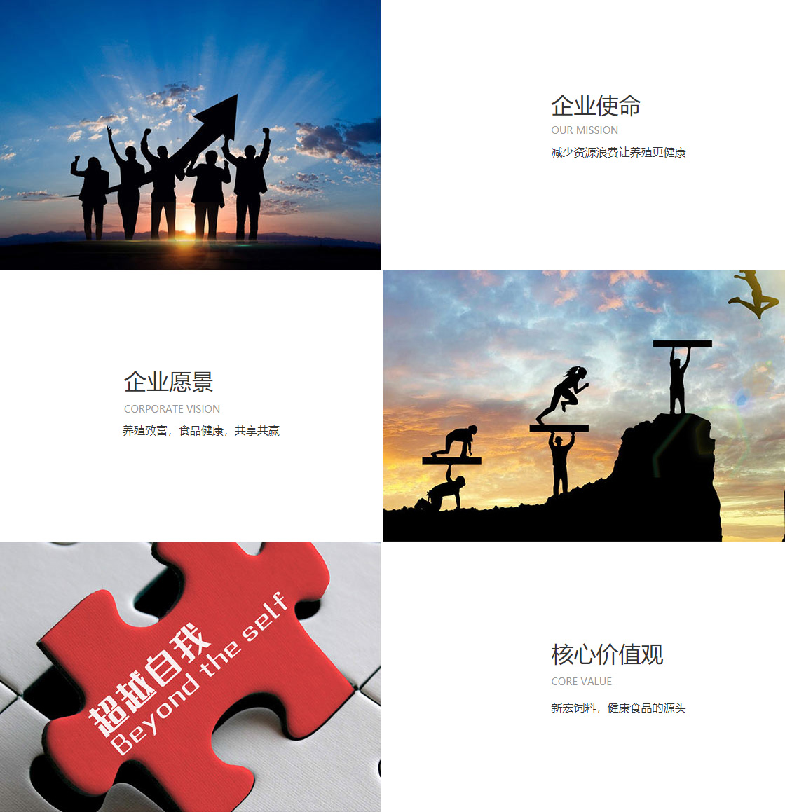 拉斯维加斯0567官方网站(图1)